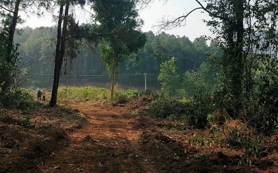 Quảng Trị: Xây dựng các tuyến đường Lâm nghiệp huyện Gio Linh