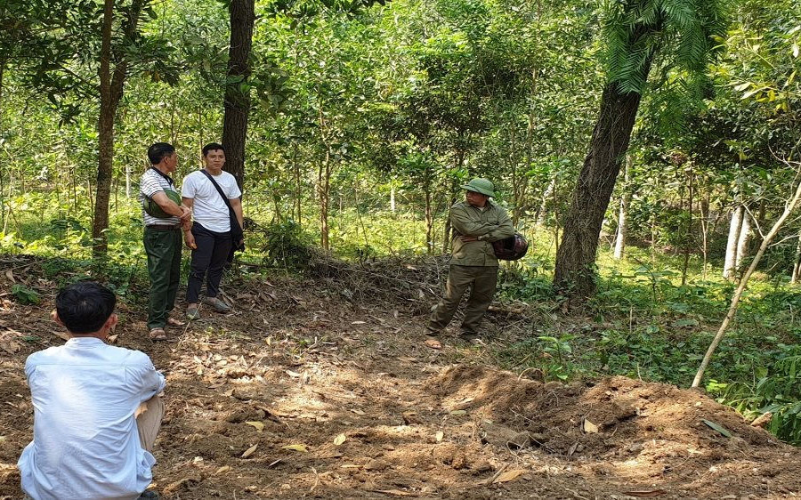 Thanh Hóa: Đẩy mạnh công tác quản lý bảo vệ rừng đặc dụng, phòng hộ