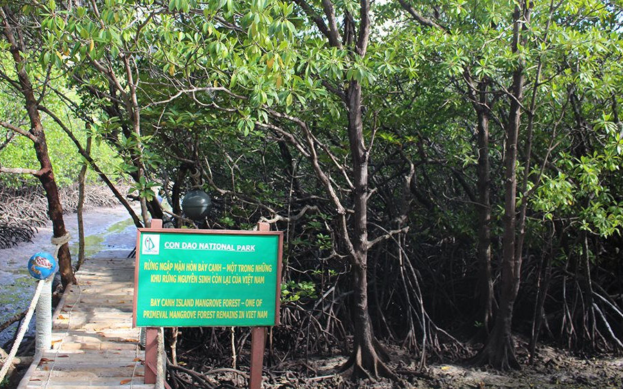 Bà Rịa - Vũng Tàu: Cho thuê hơn 888ha rừng để phát triển du lịch sinh thái