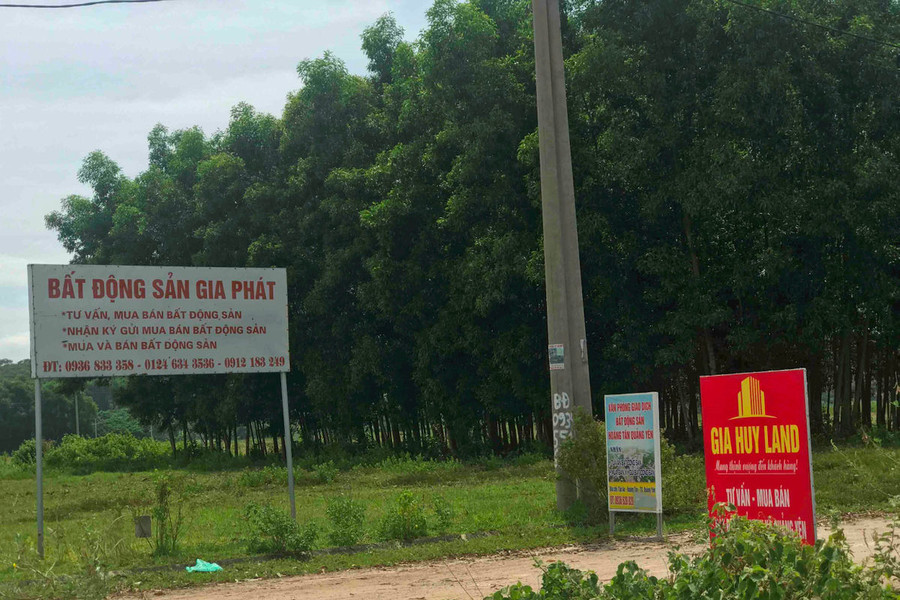 Quảng Ninh: Nâng cao hiệu quả công tác quản lý đất đai