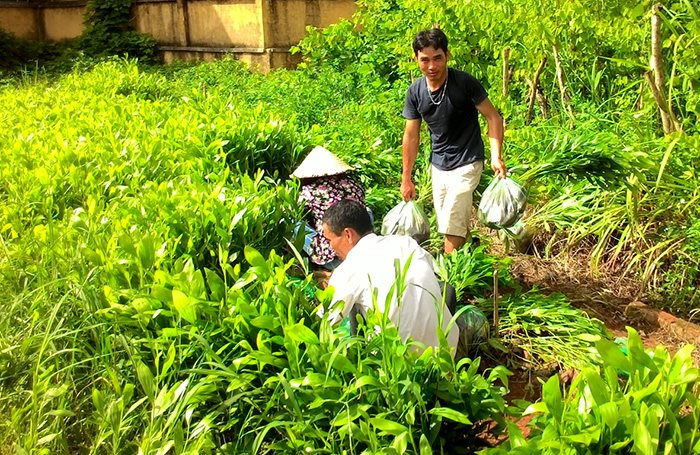 Điện Biên: Trồng rừng phòng hộ khó đạt kế hoạch do chậm vốn