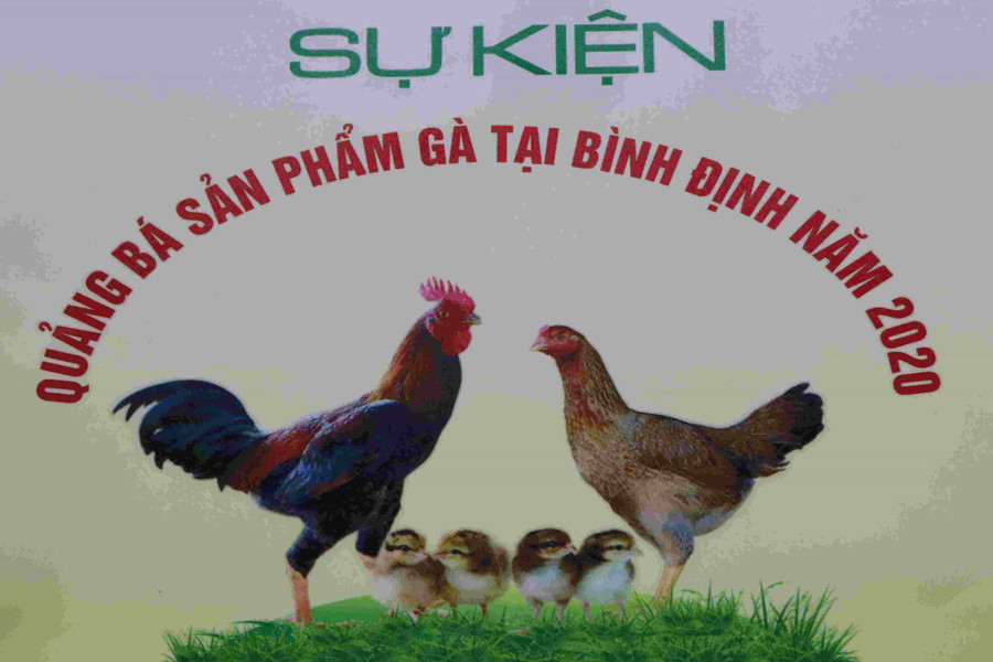 Lần đầu tiên tổ chức sự kiện quảng bá sản phẩm gà tại Bình Định
