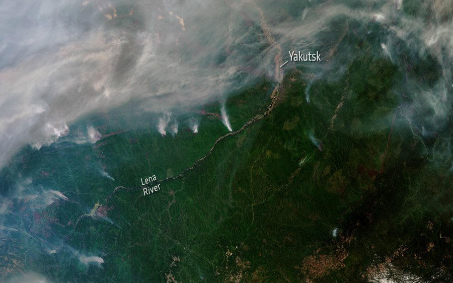 Cháy rừng và băng biển tan chảy ở Bắc Cực thúc giục hành động khẩn cấp về khí hậu