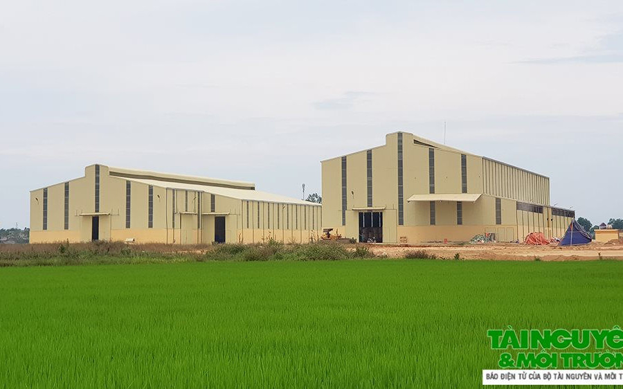 Thanh Hóa: Công ty Mía đường Lam Sơn xây dựng Trung tâm chế biến nông sản trái phép?