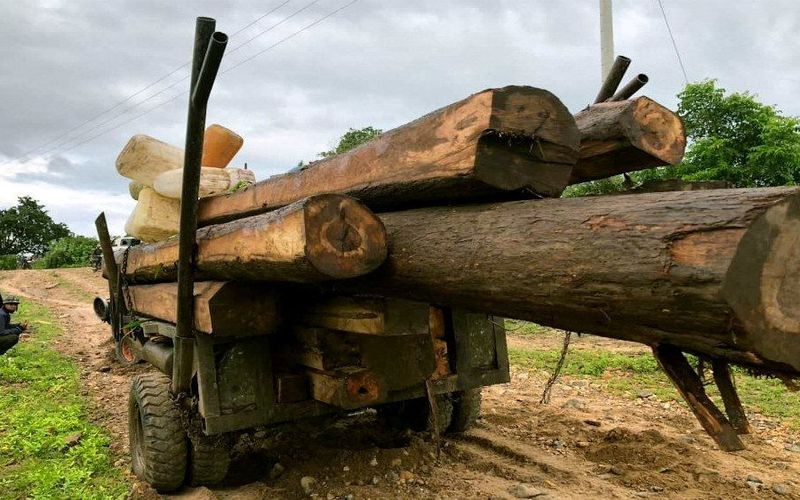Phát hiện một xe độ chế chở hơn 7m3 gỗ lậu