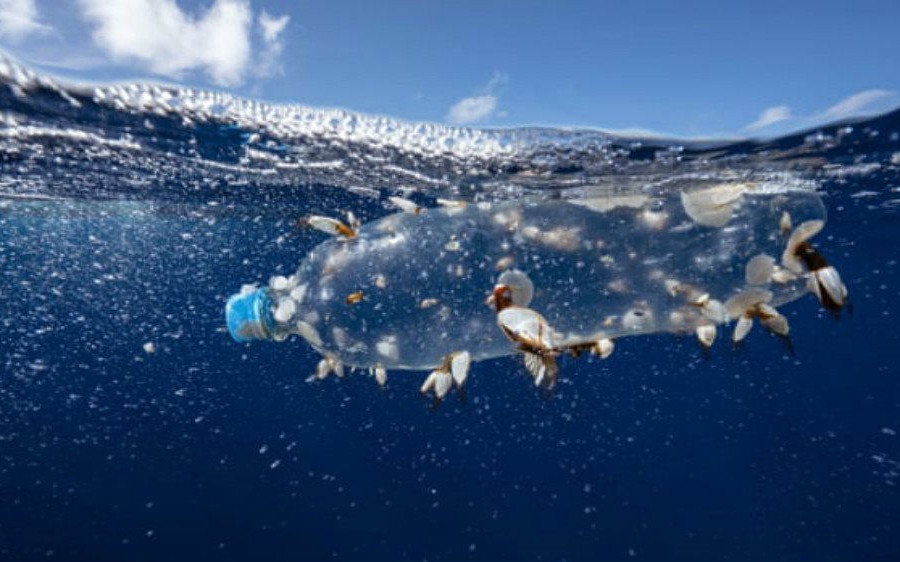 Thói quen sử dụng đồ nhựa vô tội vạ đang giết chết hành tinh