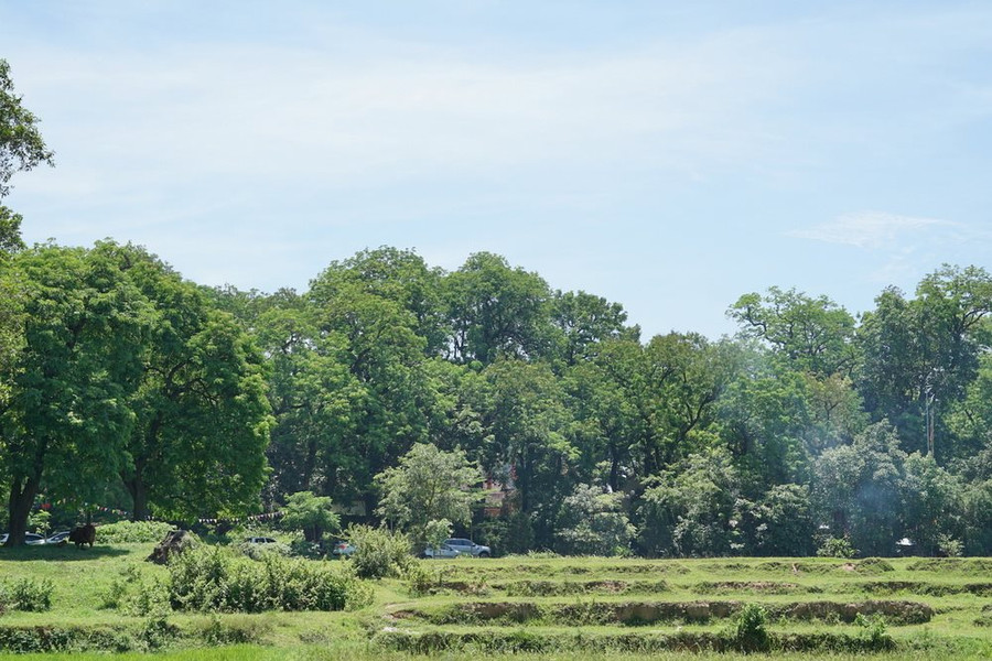 Hà Nội: Tăng nguồn thu từ dịch vụ môi trường rừng