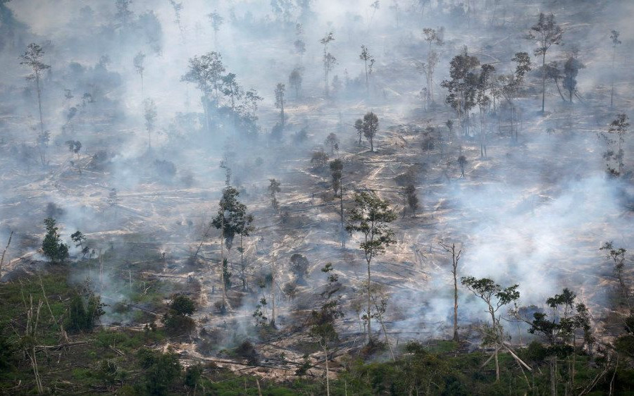 Liên Hiệp Quốc hỗ trợ Indonesia 103,8 triệu USD chống biến đổi khí hậu và chống phá rừng