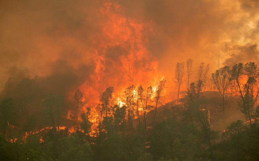 Mỹ: Cháy rừng ở California có thể tồi tệ nhất trong nhiều thập kỷ