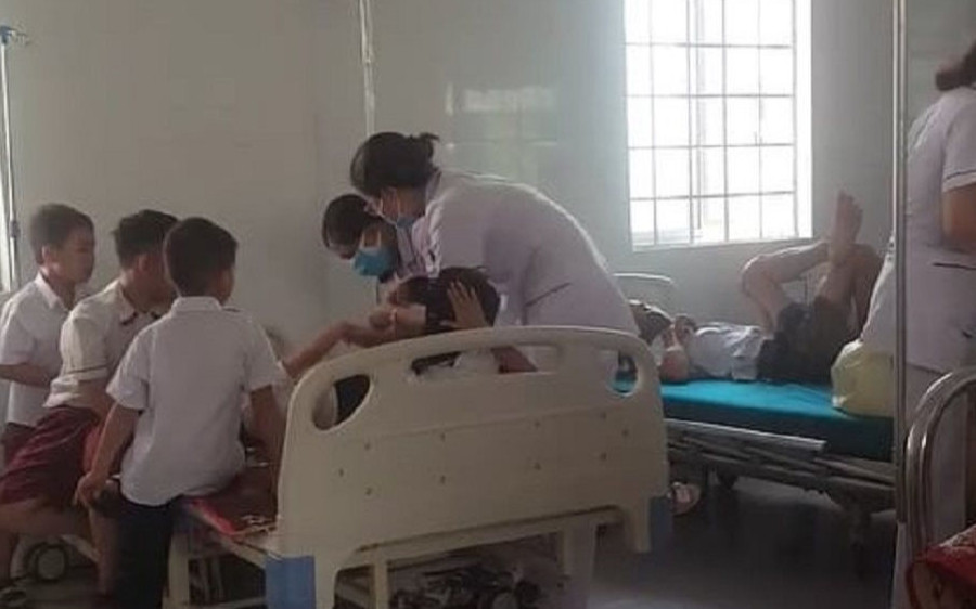 Quảng Trị: Hàng chục học sinh tiểu học phải nhập viện vì ong đốt