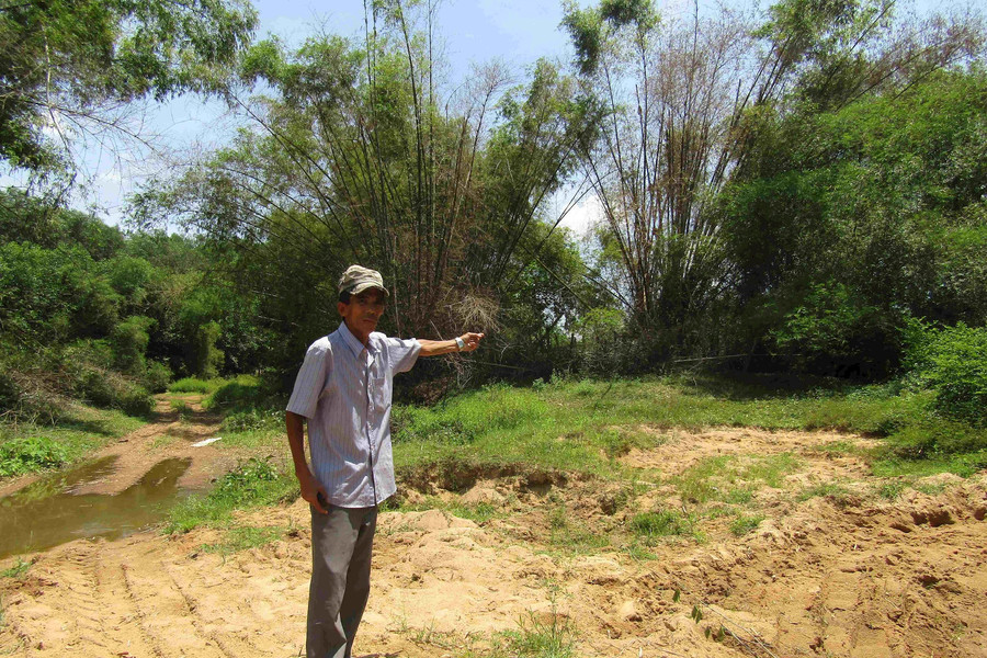 Bình Định: Dân lấn chiếm trồng keo giữa lòng sông An Tượng