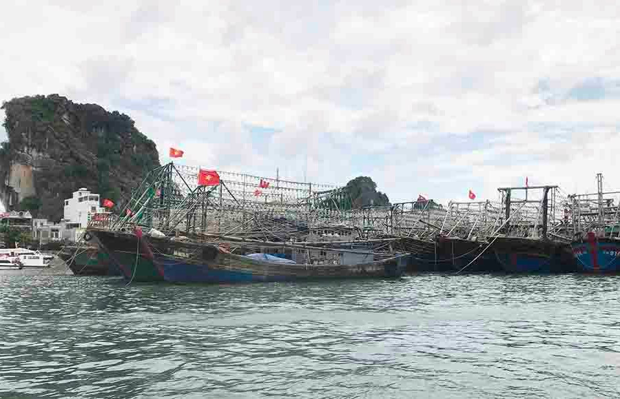 Quảng Ninh khai thác gắn với phát triển bền vững ngành thủy sản