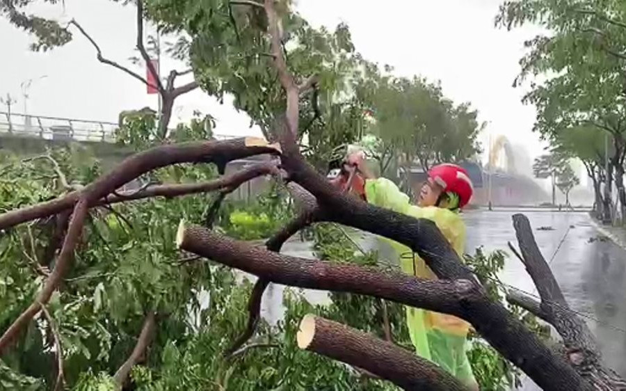 Gió bão số 9 quật ngã hàng loạt cây xanh tại Đà Nẵng