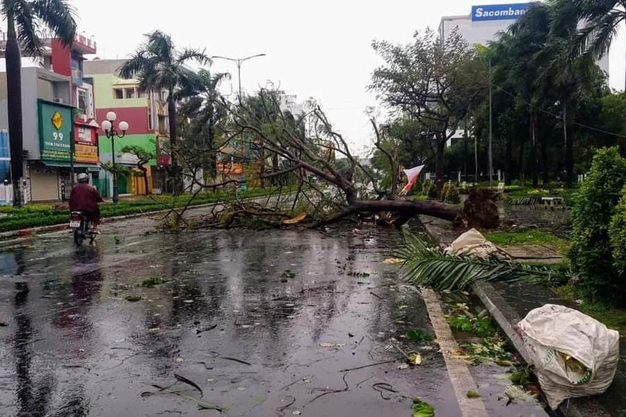Phú Yên không có thiệt hại về người sau cơn bão số 9