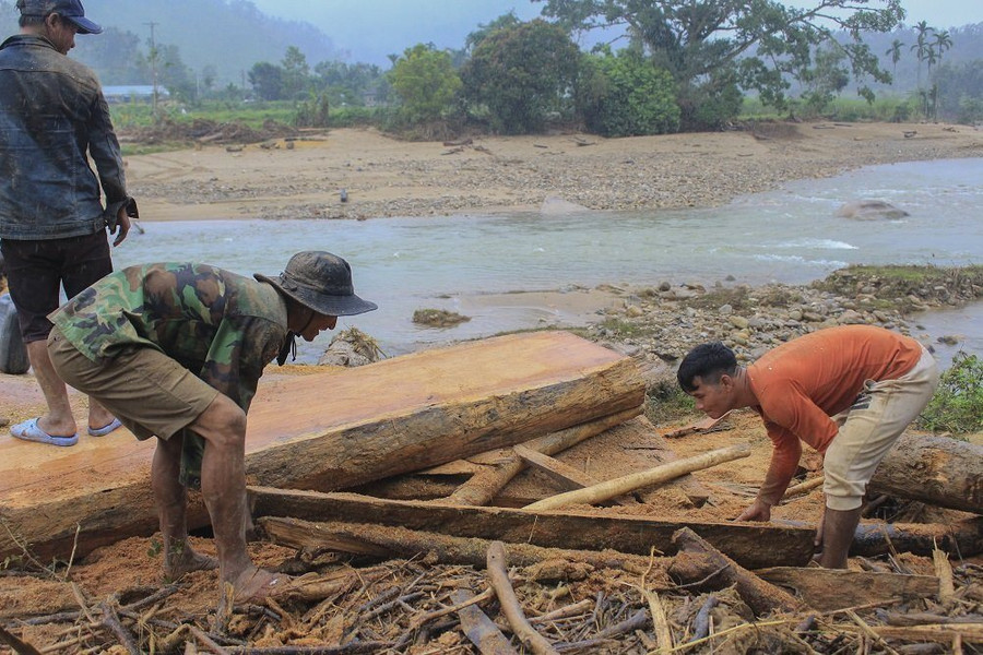 Hàng trăm khối gỗ khai thác trái phép theo lũ đổ về vây kín chân cầu ở Quảng Ngãi