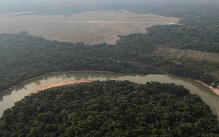 Nạn phá rừng Amazon của Brazil tăng mạnh