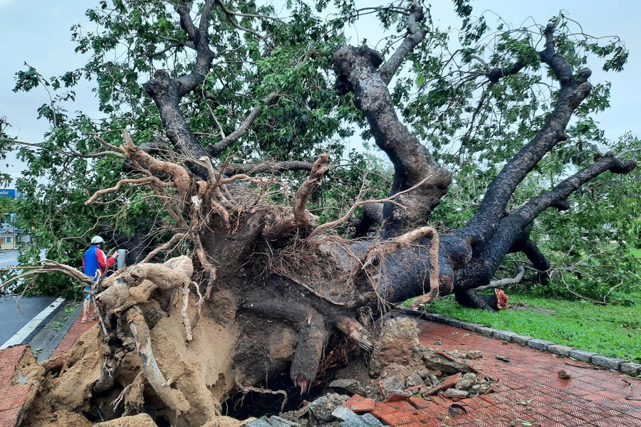Những hình ảnh thiệt hại ban đầu do bão số 13 tại Thừa Thiên Huế