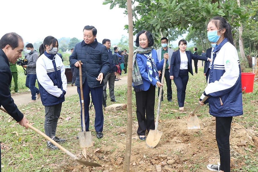 Hoàn thành mốc “Một triệu cây xanh cho Việt Nam”