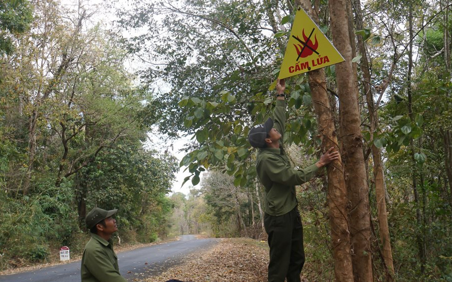Đắk Nông: Chủ động công tác phòng chống cháy rừng mùa khô