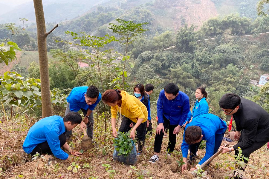 Lào Cai: Ra quân tình nguyện “vì một Việt Nam xanh –  Thêm cây xanh thêm sự sống”