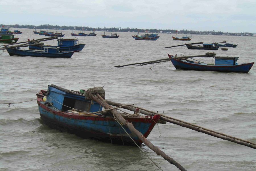 Bình Định thực hiện phong trào “Toàn dân tham gia bảo vệ nguồn lợi thủy sản”