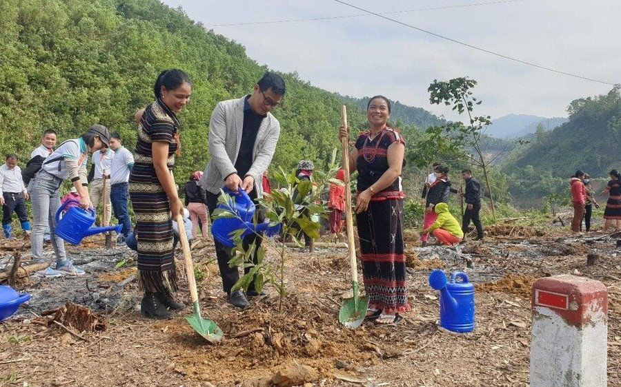 Quảng Nam trồng 11.000 cây góp quỹ một tỷ cây xanh