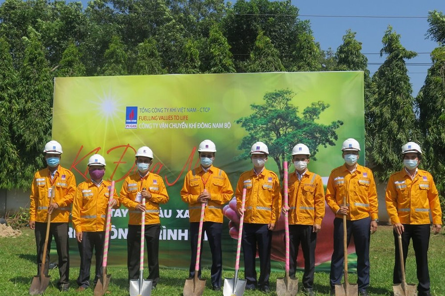Công ty Vận chuyển Khí Đông Nam Bộ:  Chung tay vì màu xanh trên công trình khí