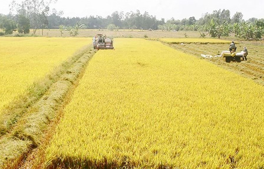 Hà Nam: Bổ sung, điều chỉnh danh mục các dự án thu hồi đất, dự án chuyển mục đích sử dụng đất dưới 10 ha đất trồng lúa