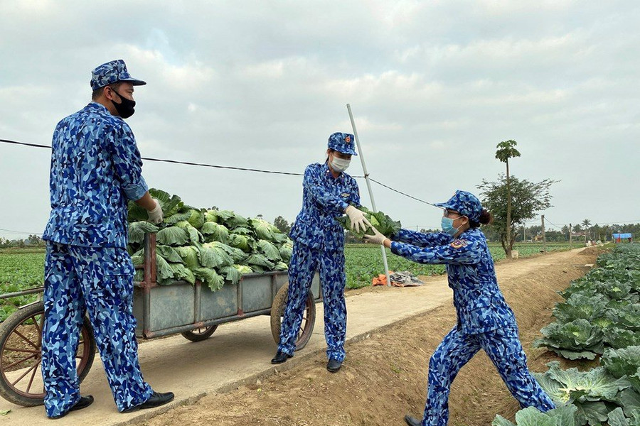 BTL Vùng Cảnh sát biển 1 hỗ trợ tiêu thụ nông sản cho bà con nông dân huyện Vĩnh Bảo