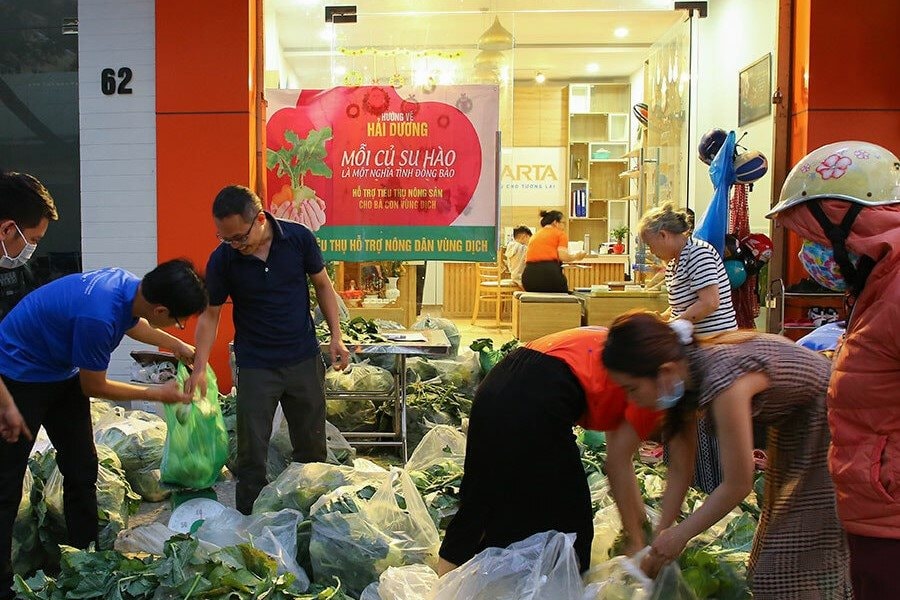 Sendo hỗ trợ tiêu thụ nông sản cho Hải Dương