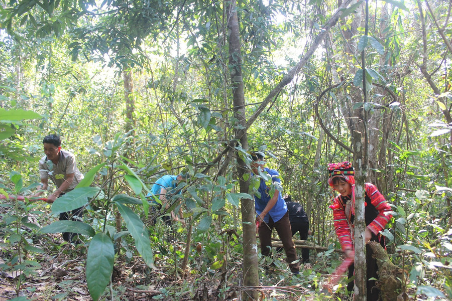 Nhìn lại công tác quản lý bảo vệ rừng tỉnh Điện Biên năm 2020