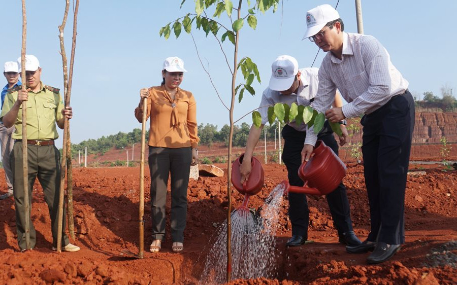Đắk Nông: Phát động chương trình trồng 1 tỷ cây xanh