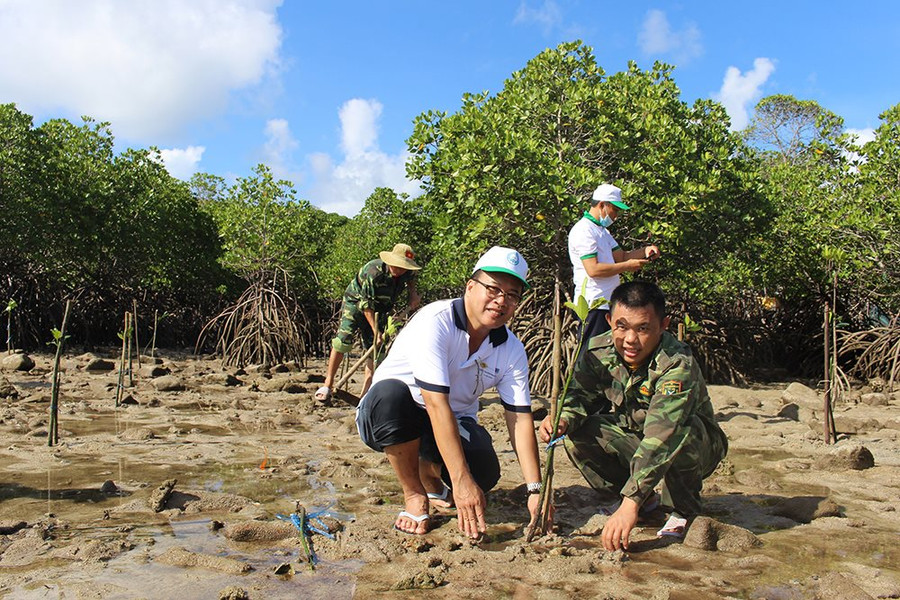 Bà Rịa - Vũng Tàu: Bảo vệ vùng đất ngập nước, phát triển bền vững đa dạng sinh học