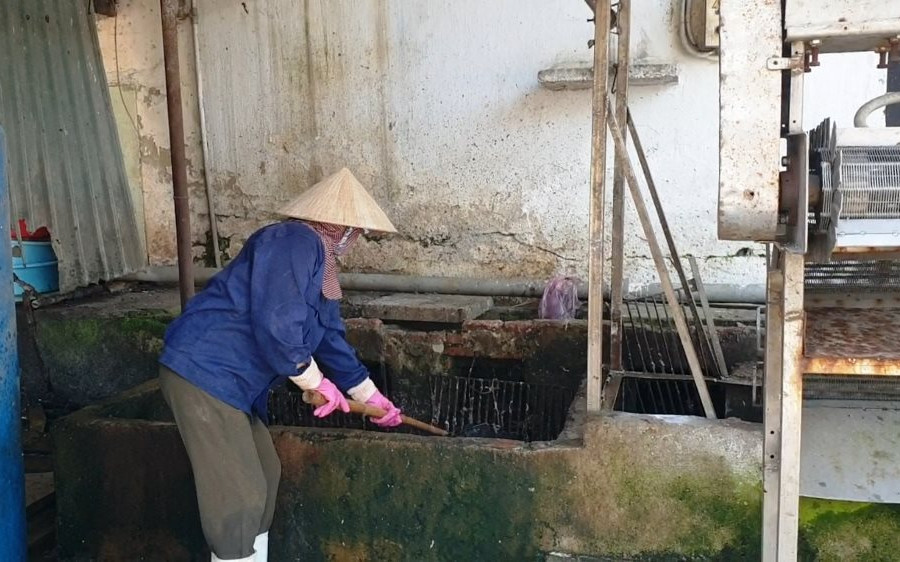 Gây ô nhiễm môi trường, Cty Chế biến thực phẩm Đà Nẵng bị đề nghị phạt 115 triệu đồng