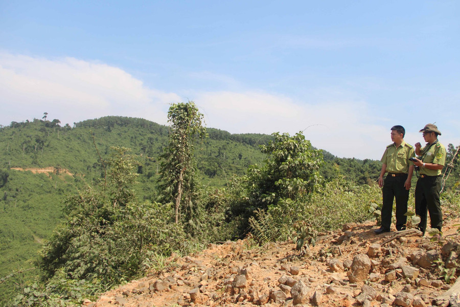 Thừa Thiên Huế: Đại hội Hội chủ rừng phát triển bền vững tỉnh nhiệm kỳ 2021-2025