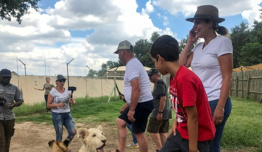 Nam Phi sẽ hạn chế nuôi nhốt sư tử