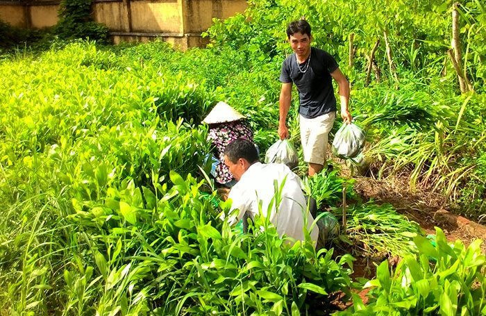 Điện Biên: Đảm bảo cung ứng giống cho mùa trồng rừng