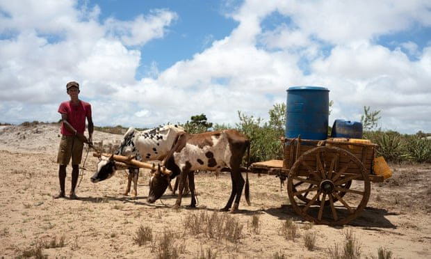 Hơn 1 triệu người Madagascar đối mặt nạn đói do hạn hán nghiêm trọng
