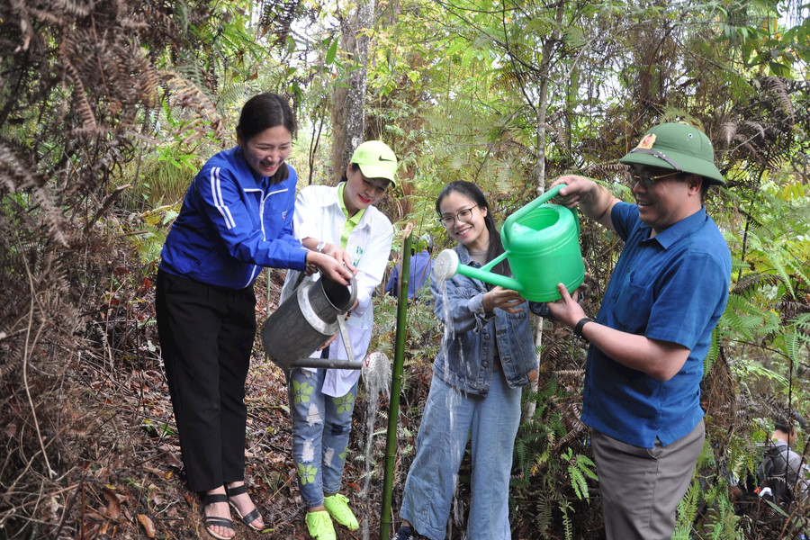 Tuổi trẻ Yên Bái chung tay “trồng 1 tỷ cây xanh”