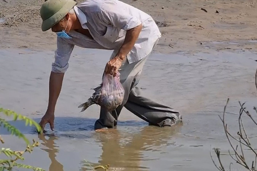 UBND tỉnh Quảng Trị chỉ đạo xử lý tình trạng nước ô nhiễm khiến cá chết gần KCN Quán Ngang