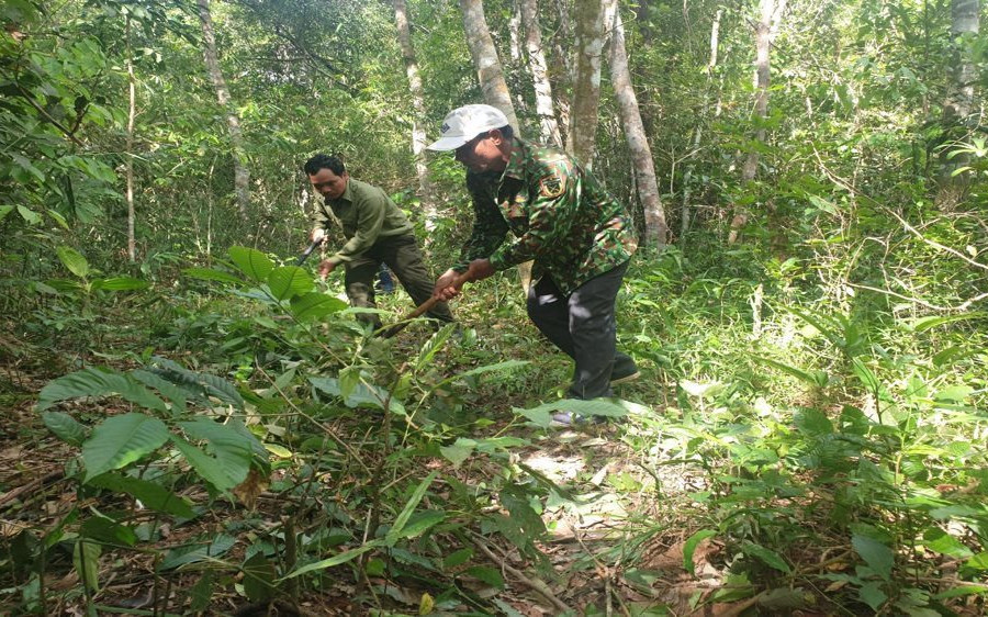 Đắk Nông: Công tác quản lý, bảo vệ rừng từng bước được ổn định