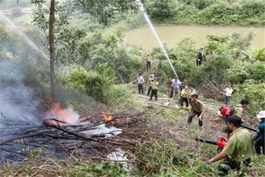 Ninh Bình chủ động phòng, chữa cháy rừng mùa cao điểm