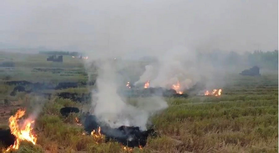 Hà Nội khó xử lý đốt rơm rạ tại các huyện ngoại thành