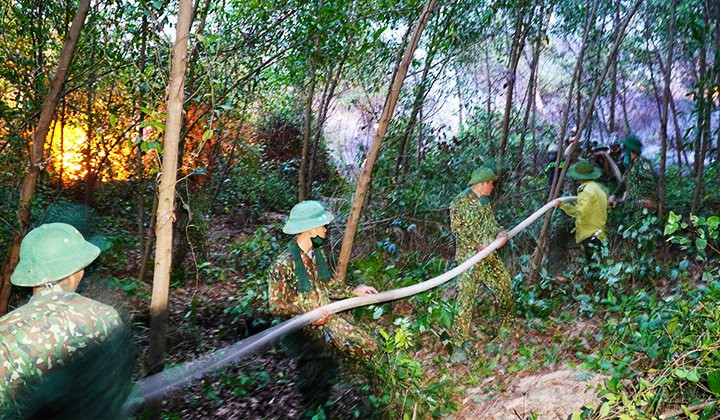 Thừa Thiên Huế: Liên tiếp xảy ra cháy rừng, lập sở chỉ huy tiền phương 