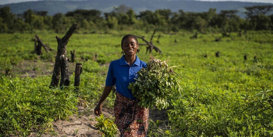 FAO hối thúc G20 đầu tư cho một hành tinh xanh tạo thực phẩm lành mạnh