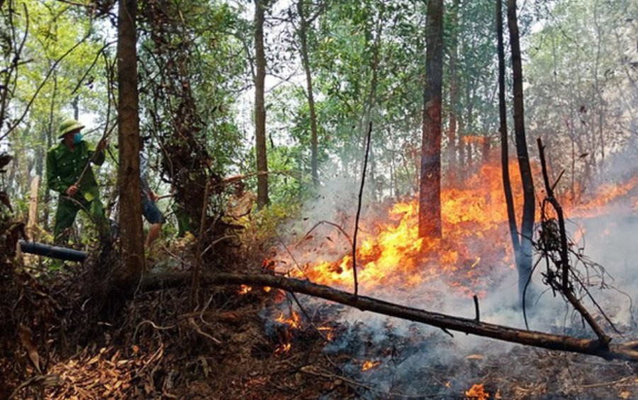 Hà Tĩnh: Phát hiện người đàn ông bị chết cháy tại rừng keo