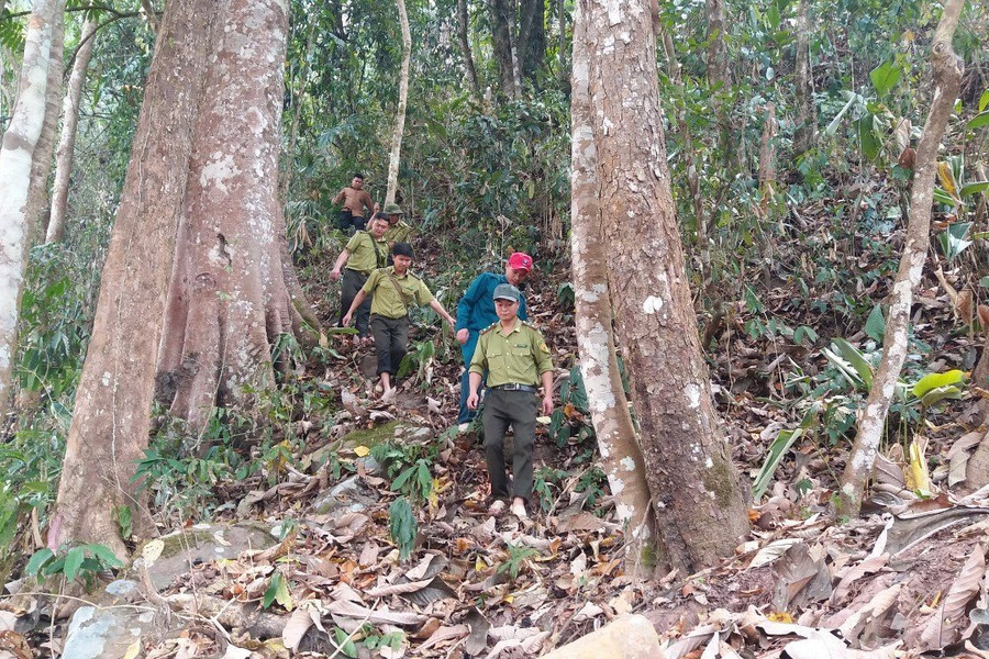Khu BTTN Mường Nhé: Hiệu quả từ chính sách chi trả dịch vụ môi trường rừng 