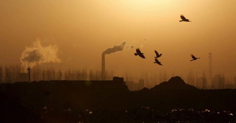 Khử carbon toàn cầu đặt ra thách thức cho các nhà sản xuất thép