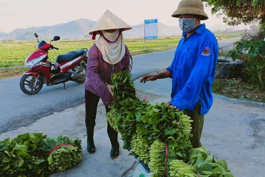 Nghệ An: Nỗ lực giải quyết tình trạng ùn ứ hàng nông sản