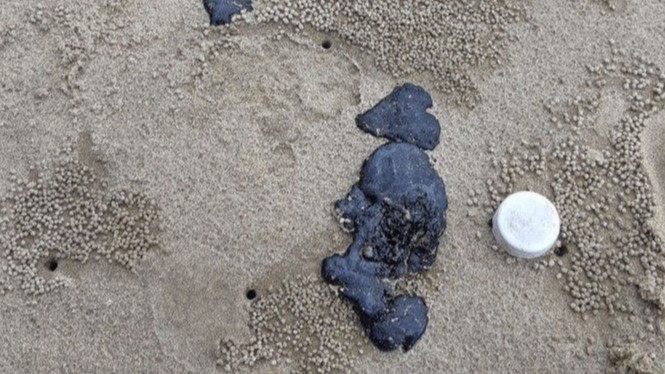 Quảng Trị: Phát hiện hàng tấn dầu trôi dạt vào bờ biển